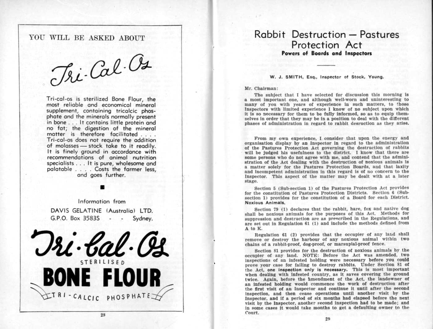 1937 Page 28 29
